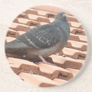 Rooftop Pigeon Underläggs Underlägg