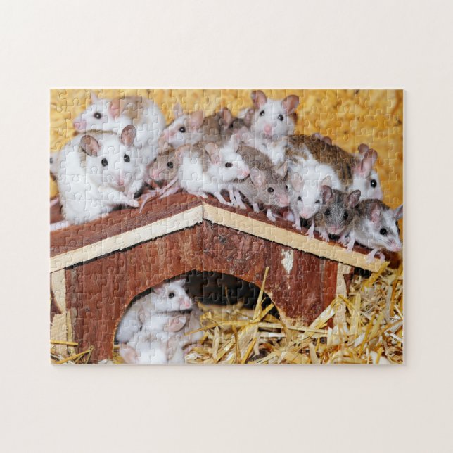 RooftopmusJigsaw Pussel (Horisontell)