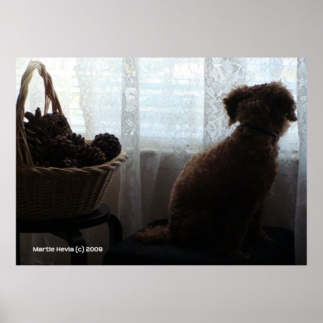 Rookie Waits Poster (Framsidan)