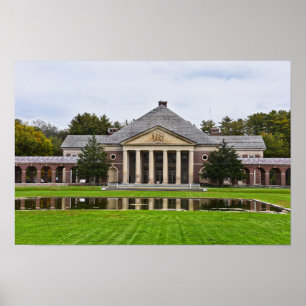 Roosevelt Baths and Spa Byggnad, New York Poster