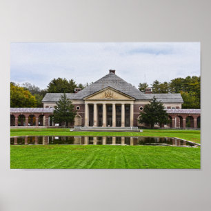 Roosevelt Baths and Spa Byggnad, New York Poster