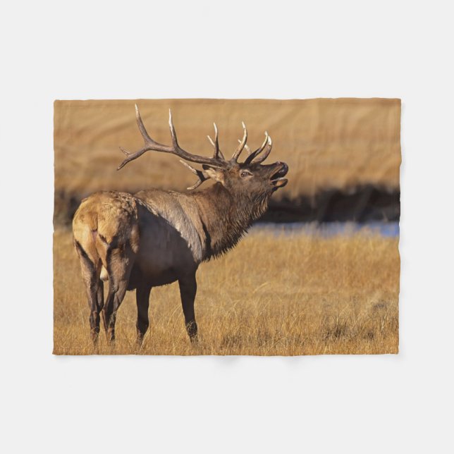 Roosevelt Eull Elk Wyoming Fleecefilt (Framsidan (Horisontell))