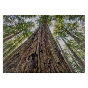 Roosevelt Grove