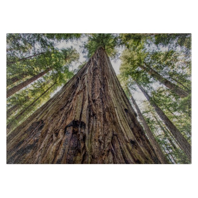 Roosevelt Grove (Framsidan)