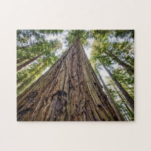 Roosevelt Grove Pussel
