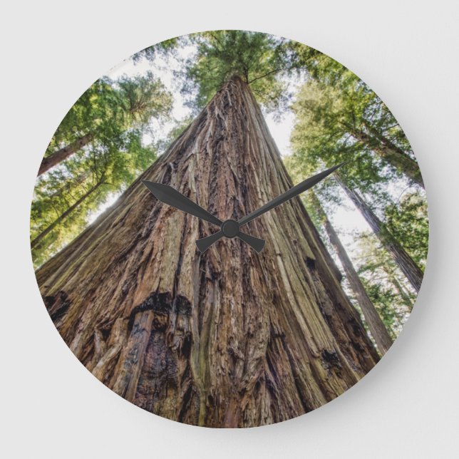 Roosevelt Grove Stor Klocka (Framsida)