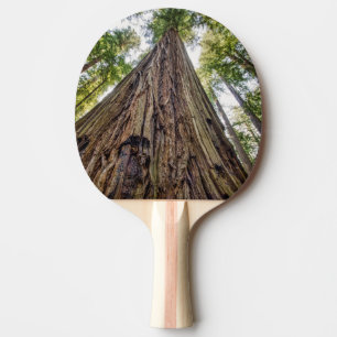 Roosevelt lund pingisracket