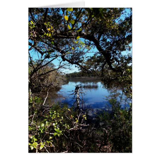 Roosevelt Trail vid Aquarium Hälsningskort (Framsidan)