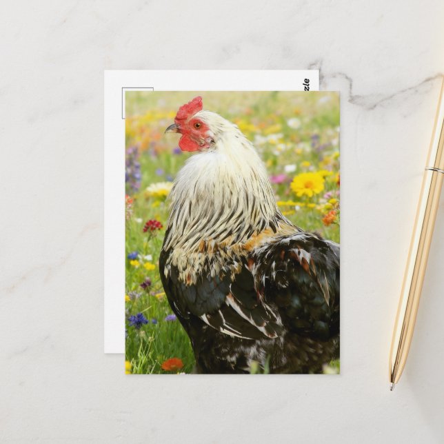 Rooster in a Flower Meadow Vykort (Fram/Back In Situ)