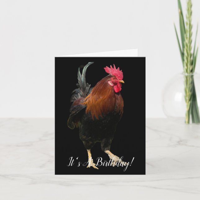 ROOSTER ON BLACK PHOTO BIRTHDAY GREETING CARD KORT (Framsida)