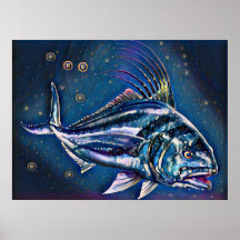 Roosterfish, Baja California