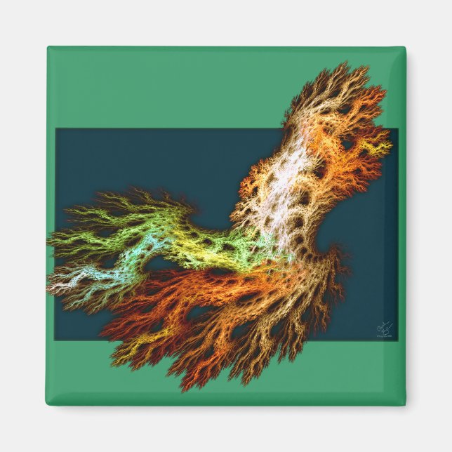Root Magnet (Framsidan)