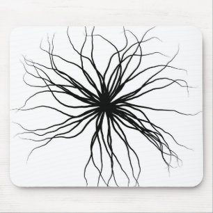 Root Musmatta