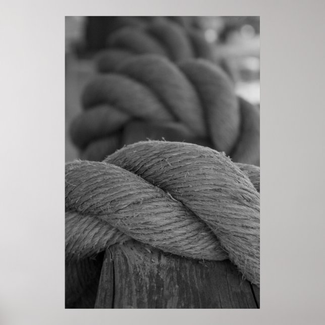 Rope on a Rail Poster (Framsidan)