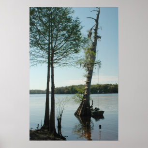 Rope Swing på Suwannefloden Print Poster
