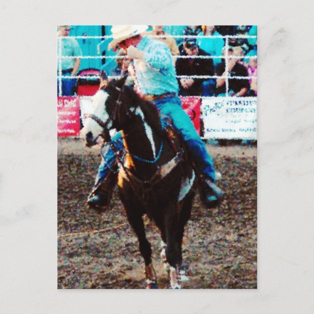 Roper på en Pinto Vykort (Framsida)