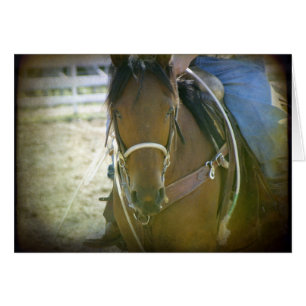 Roping Horse Hälsningskort