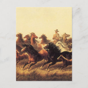 Roping Vild Horses av James Walker Vykort