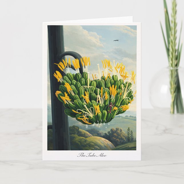 Rör-aloe — Modern botanisk tolkning Kort (Framsida)