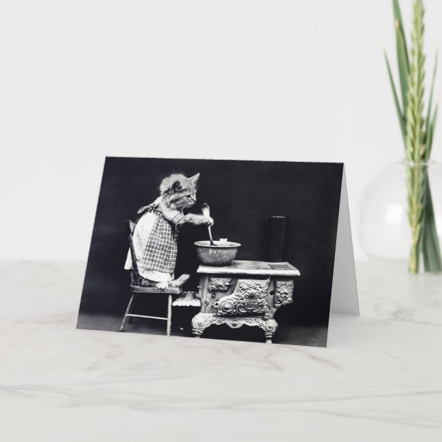 Rör Bowl Kattunge Kort (Framsida)