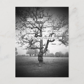 Rör en löv... vykort