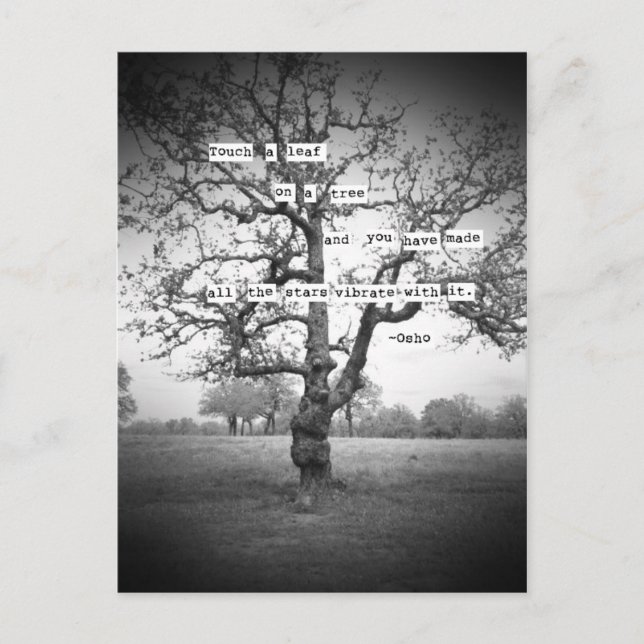 Rör en löv... vykort (Framsida)