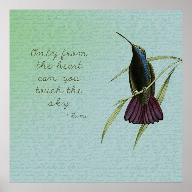 Rör Himlar Hummingbird Poster (Framsidan)