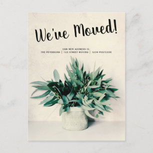 Röra meddelandeUpload för Eucalyptus ditt foto Meddelande Vykort