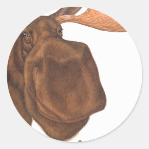 röra runt klistermärke