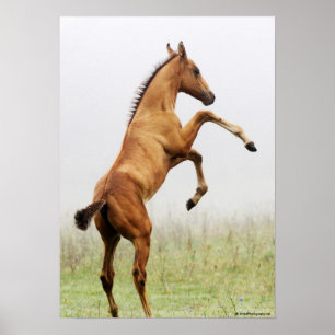 Rörande färg poster