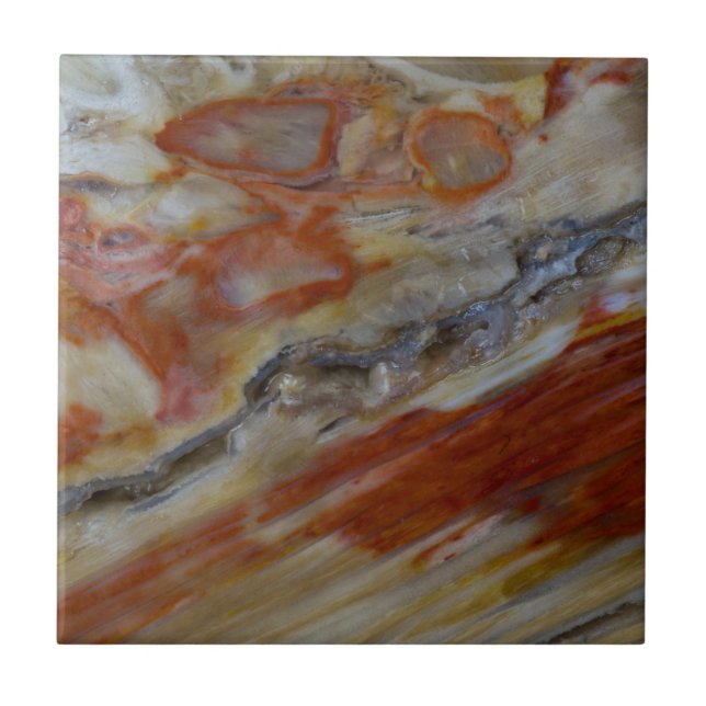 Rörat Petrified Wood Kakelplatta (Framsidan)
