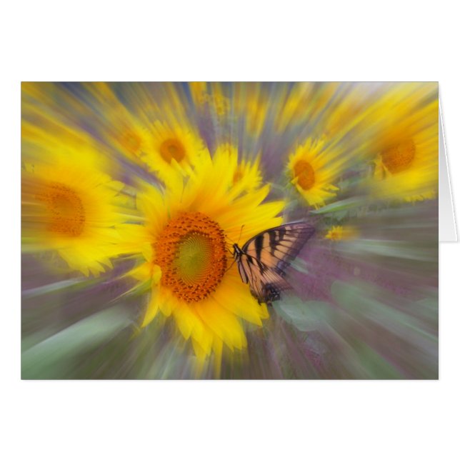 Rörelse , KORT (Framsidan Horizontal)