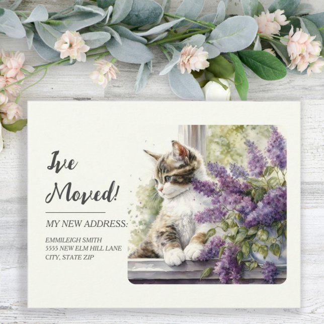 Rörelseanmälan Katt Fönster Lavendelblommor Vykort (Skapare uppladdad)