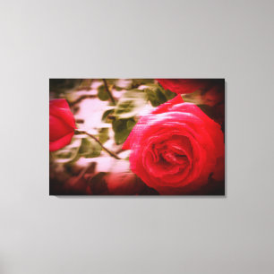 RÖRELSEFÄRG av trädröda rosor på Canvas Print