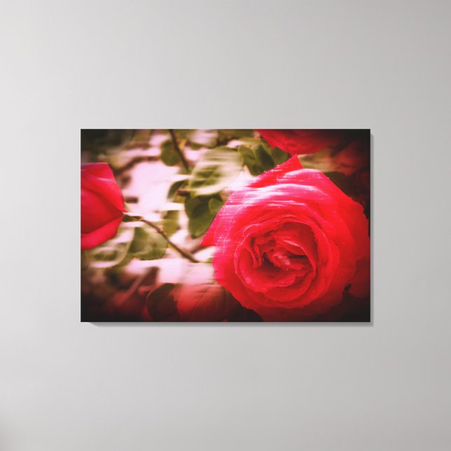 RÖRELSEFÄRG av trädröda rosor på Canvas Print (Framsida)