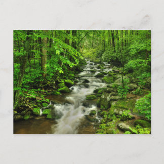 Rörgforkar Motor Trail Vykort