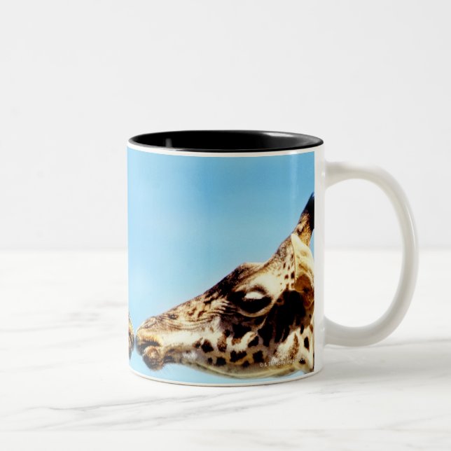 Rörs näsor för giraff Två-Tonad mugg (Höger)