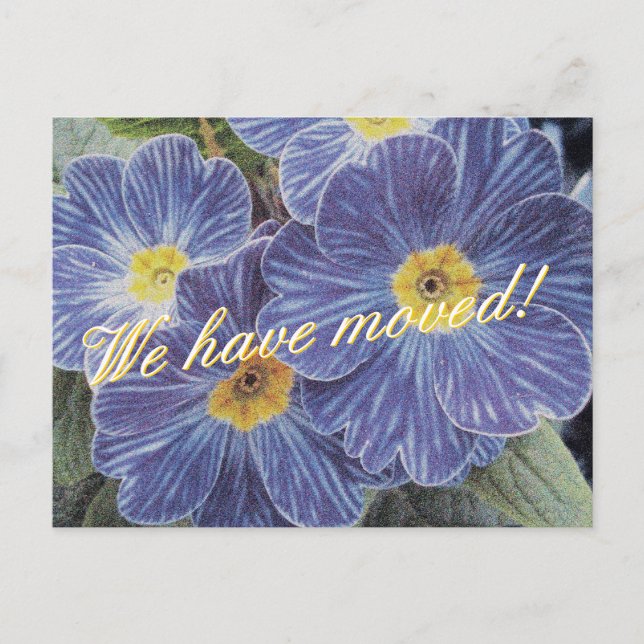 Rörs vykort med blåttblommadesign (Front)