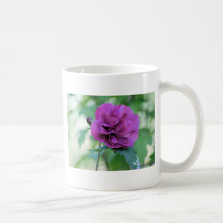 Ros av Sharon-mugg Kaffemugg