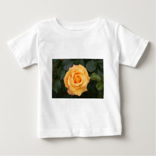 ros blommor blomma kärlek fru kära par tee