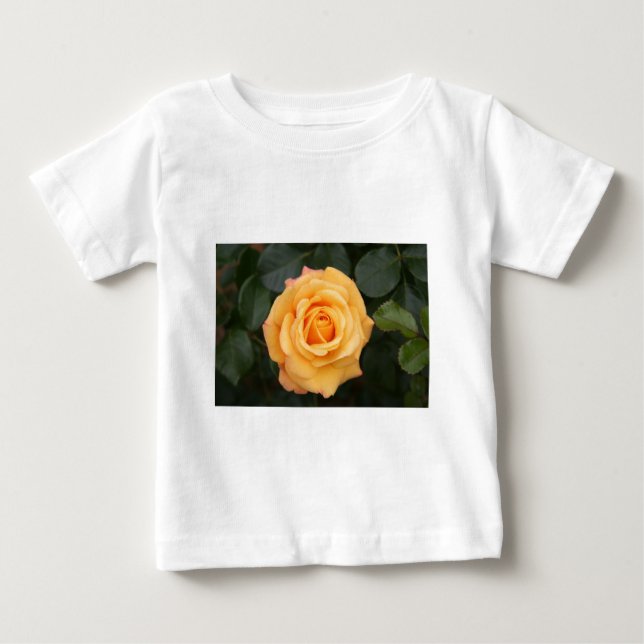 ros blommor blomma kärlek fru kära par tee (Framsida)