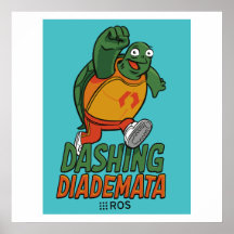 ROS Dash Diademata Release Poster