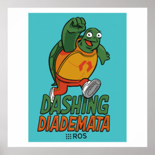 ROS Dash Diademata Release Poster