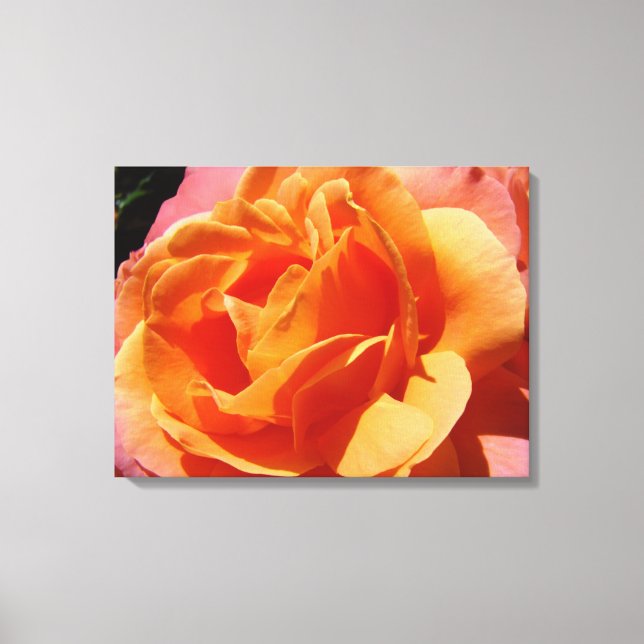 Ros duktryck Orange Rosa Rosor Blommor Canvastryck (Framsida)