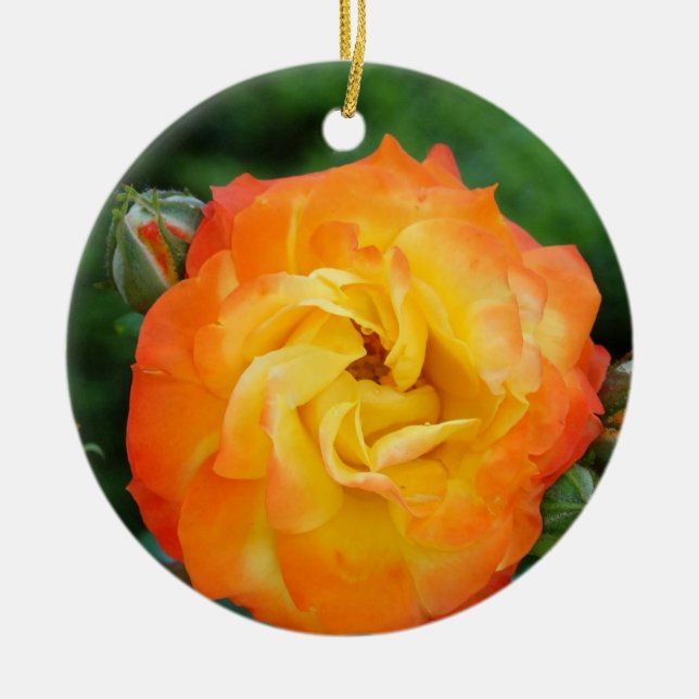 Ros Foto Ornament (Framsidan)