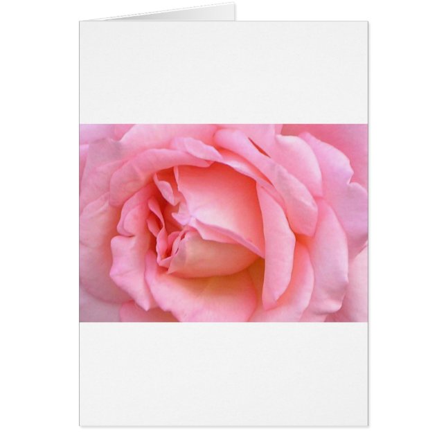 ROS HÄLSNINGSKORT (Framsidan)