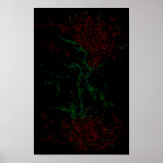 Ros i mörkret poster