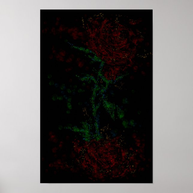 Ros i mörkret poster (Framsidan)