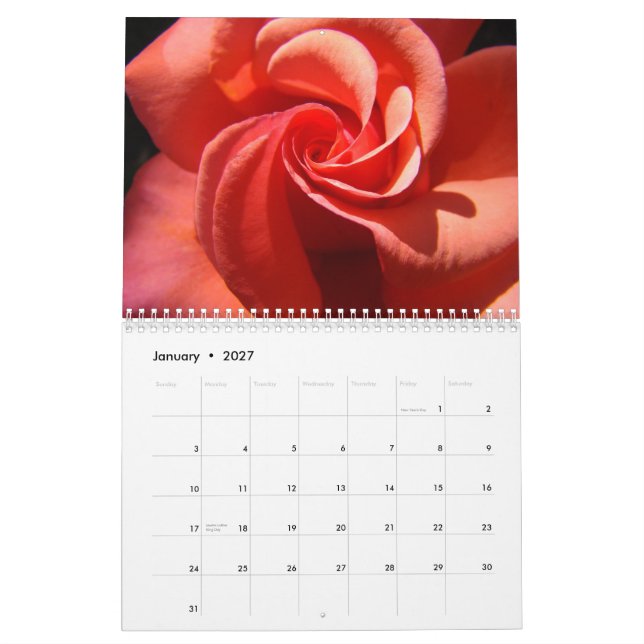 Ros Kalender Centrum Av Mitt Hjärta Alla Hjärtans  (Jan 2027)