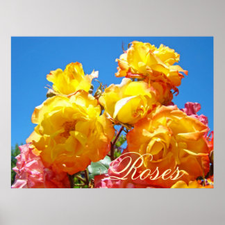Ros konsttryck Gula Orange Ros Blommor Poster